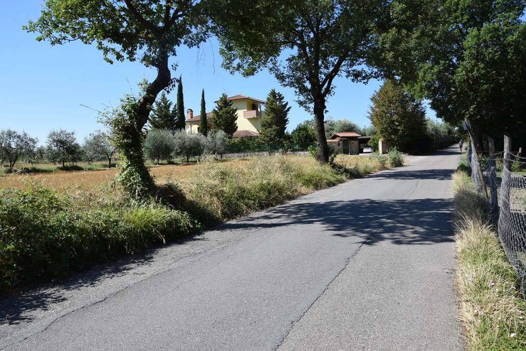 La Casa Nell'Oliveto Bed & Breakfast Acquasparta エクステリア 写真
